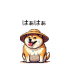 夏の麦わら太っちょ柴犬（個別スタンプ：23）