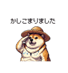 夏の麦わら太っちょ柴犬（個別スタンプ：25）