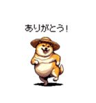 夏の麦わら太っちょ柴犬（個別スタンプ：27）