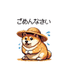 夏の麦わら太っちょ柴犬（個別スタンプ：28）