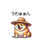 夏の麦わら太っちょ柴犬（個別スタンプ：29）