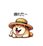 夏の麦わら太っちょ柴犬（個別スタンプ：31）