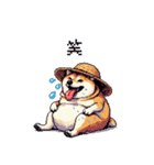 夏の麦わら太っちょ柴犬（個別スタンプ：32）