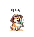 夏の麦わら太っちょ柴犬（個別スタンプ：33）