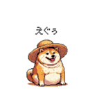 夏の麦わら太っちょ柴犬（個別スタンプ：35）