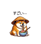 夏の麦わら太っちょ柴犬（個別スタンプ：36）