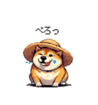 夏の麦わら太っちょ柴犬（個別スタンプ：37）