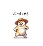 夏の麦わら太っちょ柴犬（個別スタンプ：38）