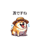 夏の麦わら太っちょ柴犬（個別スタンプ：39）