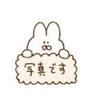 『元気で可愛いうさぎ』（個別スタンプ：24）