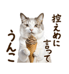 うんこ★リアルな猫（個別スタンプ：24）