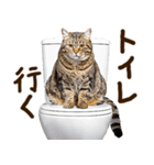 うんこ★リアルな猫（個別スタンプ：26）