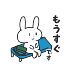 通院するうさぎ（個別スタンプ：20）