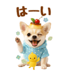 癒しチワワの気軽な敬語スタンプ【BIG】（個別スタンプ：3）