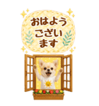 癒しチワワの気軽な敬語スタンプ【BIG】（個別スタンプ：5）
