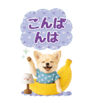 癒しチワワの気軽な敬語スタンプ【BIG】（個別スタンプ：8）