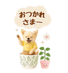 癒しチワワの気軽な敬語スタンプ【BIG】（個別スタンプ：13）