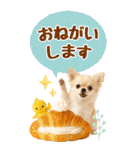 癒しチワワの気軽な敬語スタンプ【BIG】（個別スタンプ：20）