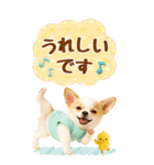 癒しチワワの気軽な敬語スタンプ【BIG】（個別スタンプ：27）