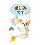 癒しチワワの気軽な敬語スタンプ【BIG】（個別スタンプ：33）