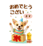 癒しチワワの気軽な敬語スタンプ【BIG】（個別スタンプ：34）