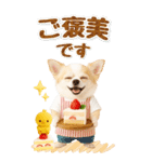 癒しチワワの気軽な敬語スタンプ【BIG】（個別スタンプ：36）