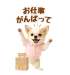 癒しチワワの気軽な敬語スタンプ【BIG】（個別スタンプ：37）