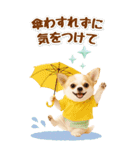 癒しチワワの気軽な敬語スタンプ【BIG】（個別スタンプ：39）