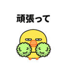 目つきが悪いと言われるヒヨコ（個別スタンプ：5）