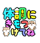 クルクルでか文字！敬語 豆しば 飛び出す（個別スタンプ：6）