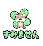 クルクルでか文字！敬語 豆しば 飛び出す（個別スタンプ：16）