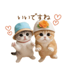 スコティッシュ猫 カラフル帽 夏 敬語（個別スタンプ：5）