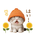 スコティッシュ猫 カラフル帽 夏 敬語（個別スタンプ：7）