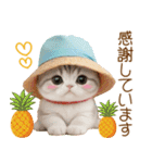 スコティッシュ猫 カラフル帽 夏 敬語（個別スタンプ：9）