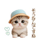スコティッシュ猫 カラフル帽 夏 敬語（個別スタンプ：12）