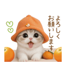 スコティッシュ猫 カラフル帽 夏 敬語（個別スタンプ：13）