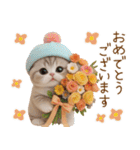 スコティッシュ猫 カラフル帽 夏 敬語（個別スタンプ：14）