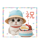 スコティッシュ猫 カラフル帽 夏 敬語（個別スタンプ：15）