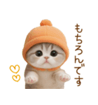 スコティッシュ猫 カラフル帽 夏 敬語（個別スタンプ：16）