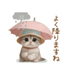 スコティッシュ猫 カラフル帽 夏 敬語（個別スタンプ：23）