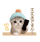 スコティッシュ猫 カラフル帽 夏 敬語（個別スタンプ：24）