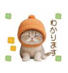 スコティッシュ猫 カラフル帽 夏 敬語（個別スタンプ：27）