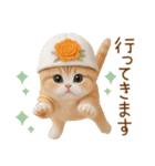 スコティッシュ猫 カラフル帽 夏 敬語（個別スタンプ：29）