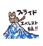 キジトラ猫です（個別スタンプ：1）