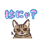 キジトラ猫です（個別スタンプ：2）