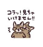 キジトラ猫です（個別スタンプ：4）