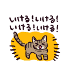 キジトラ猫です（個別スタンプ：6）