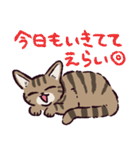 キジトラ猫です（個別スタンプ：9）