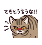 キジトラ猫です（個別スタンプ：14）
