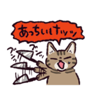キジトラ猫です（個別スタンプ：16）